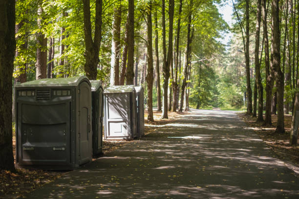 Portable Toilet Options We Offer in Dale, PA
